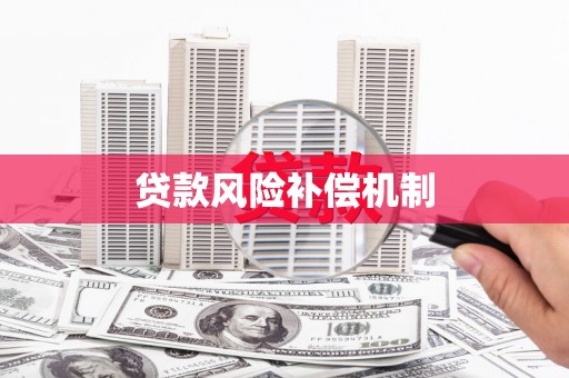 崇阳贷款风险补偿机制