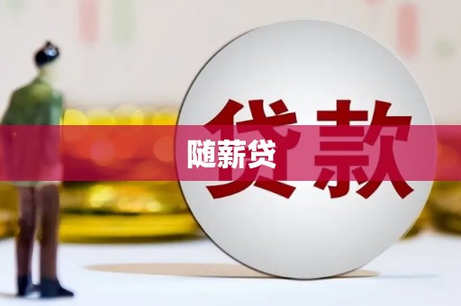 崇阳随薪贷
