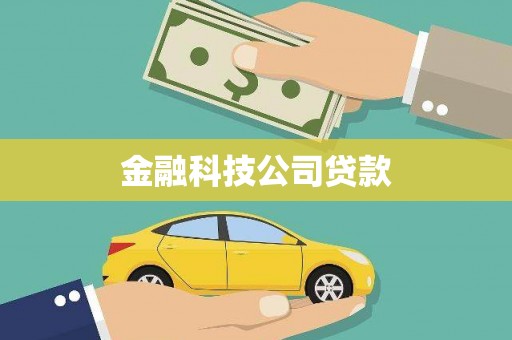 崇阳金融科技公司贷款