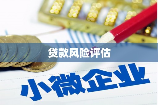 崇阳贷款风险评估