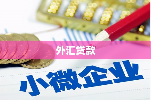崇阳外汇贷款