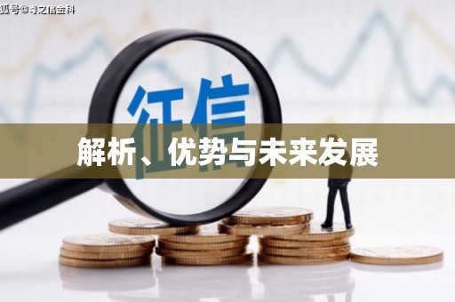 崇阳解析、优势与未来发展