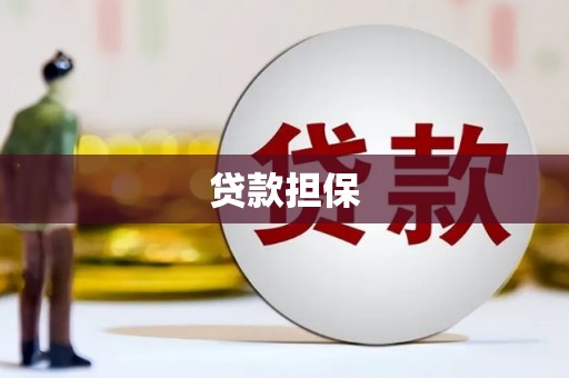 崇阳贷款担保