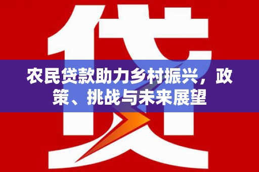 崇阳农民贷款助力乡村振兴，政策、挑战与未来展望