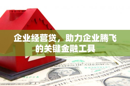 崇阳企业经营贷，助力企业腾飞的关键金融工具