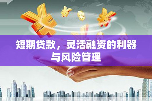 崇阳短期贷款，灵活融资的利器与风险管理