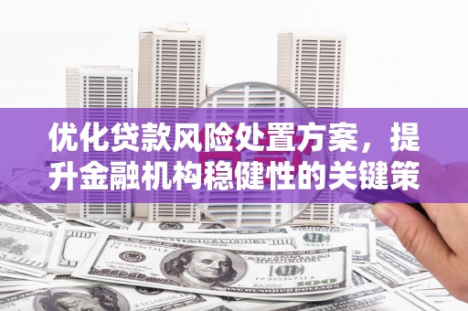 崇阳优化贷款风险处置方案，提升金融机构稳健性的关键策略