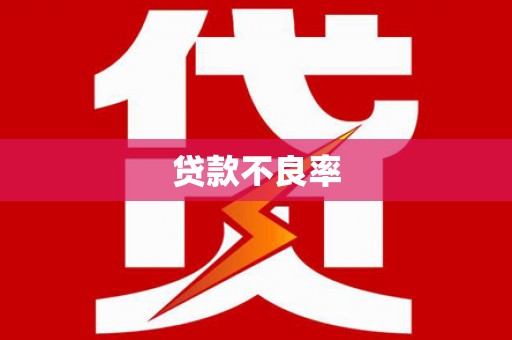 崇阳贷款不良率