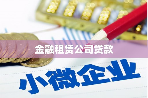 崇阳金融租赁公司贷款