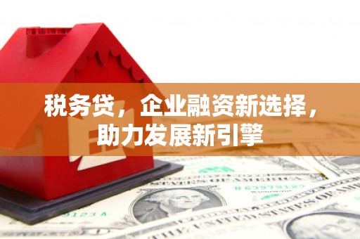 崇阳税务贷，企业融资新选择，助力发展新引擎