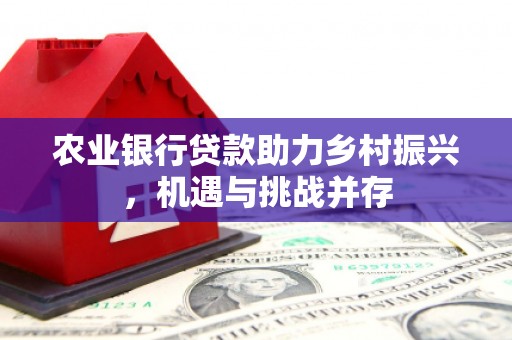 崇阳农业银行贷款助力乡村振兴，机遇与挑战并存