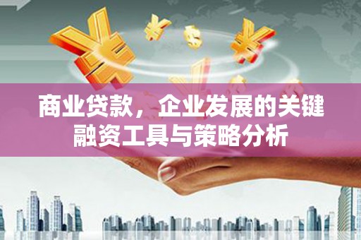 崇阳商业贷款，企业发展的关键融资工具与策略分析