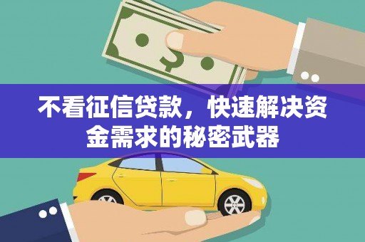崇阳不看征信贷款，快速解决资金需求的秘密武器