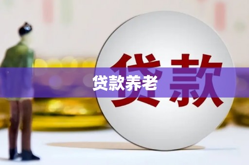 崇阳贷款养老