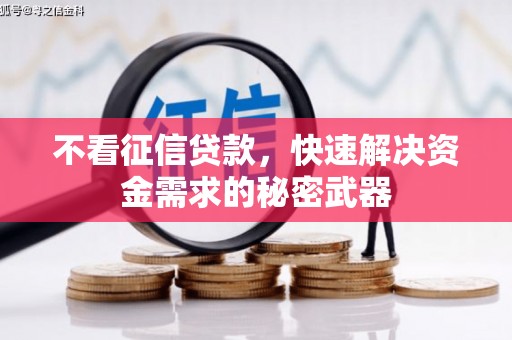 崇阳不看征信贷款，快速解决资金需求的秘密武器