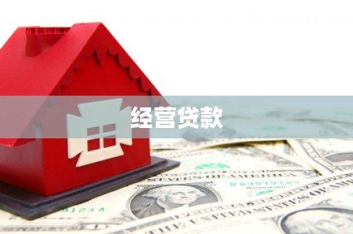 崇阳经营贷款