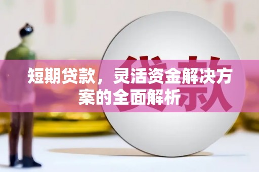 崇阳短期贷款，灵活资金解决方案的全面解析