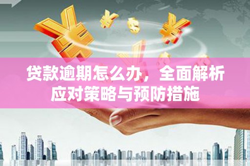 崇阳贷款逾期怎么办，全面解析应对策略与预防措施