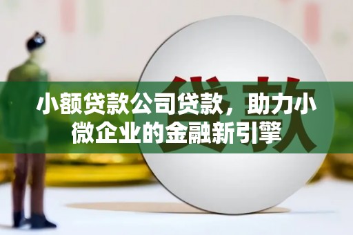 崇阳小额贷款公司贷款，助力小微企业的金融新引擎