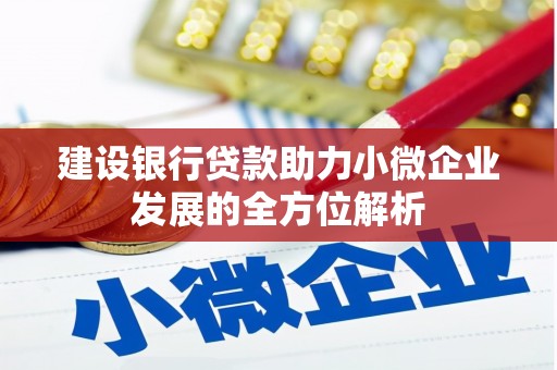 崇阳建设银行贷款助力小微企业发展的全方位解析