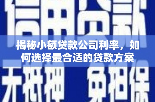 崇阳揭秘小额贷款公司利率，如何选择最合适的贷款方案