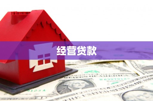 崇阳经营贷款