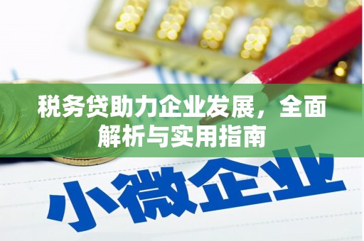 崇阳税务贷助力企业发展，全面解析与实用指南