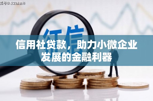 崇阳信用社贷款，助力小微企业发展的金融利器