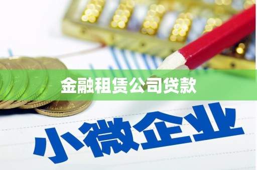 崇阳金融租赁公司贷款
