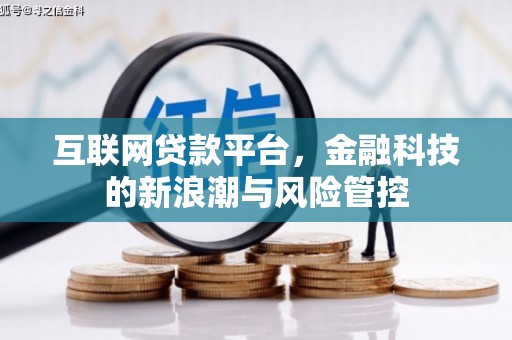 崇阳互联网贷款平台，金融科技的新浪潮与风险管控