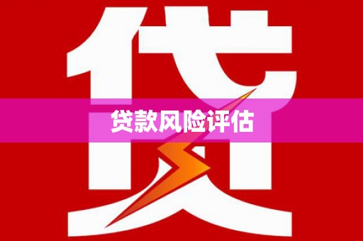 崇阳贷款风险评估