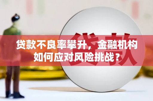 崇阳贷款不良率攀升，金融机构如何应对风险挑战？