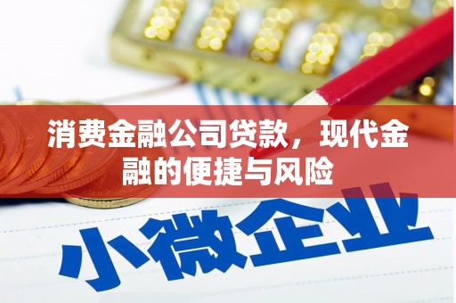 崇阳消费金融公司贷款，现代金融的便捷与风险