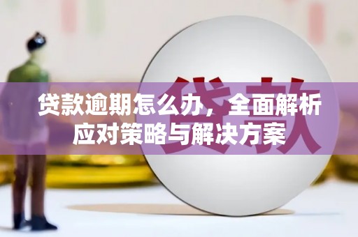 崇阳贷款逾期怎么办，全面解析应对策略与解决方案