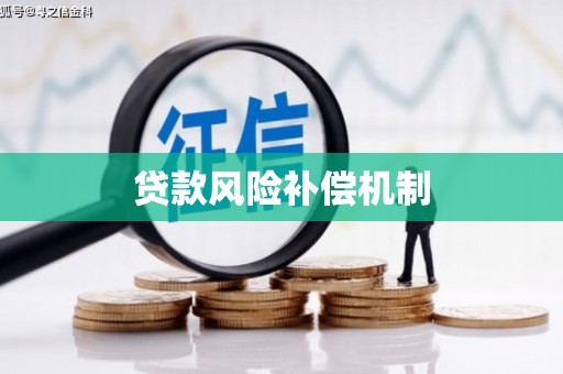 崇阳贷款风险补偿机制